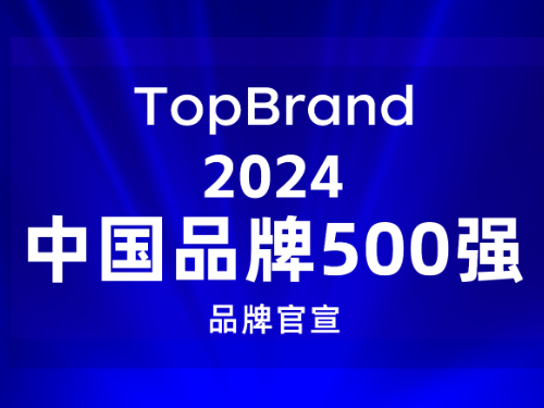 金沙滩科技再次入选中国品牌500强